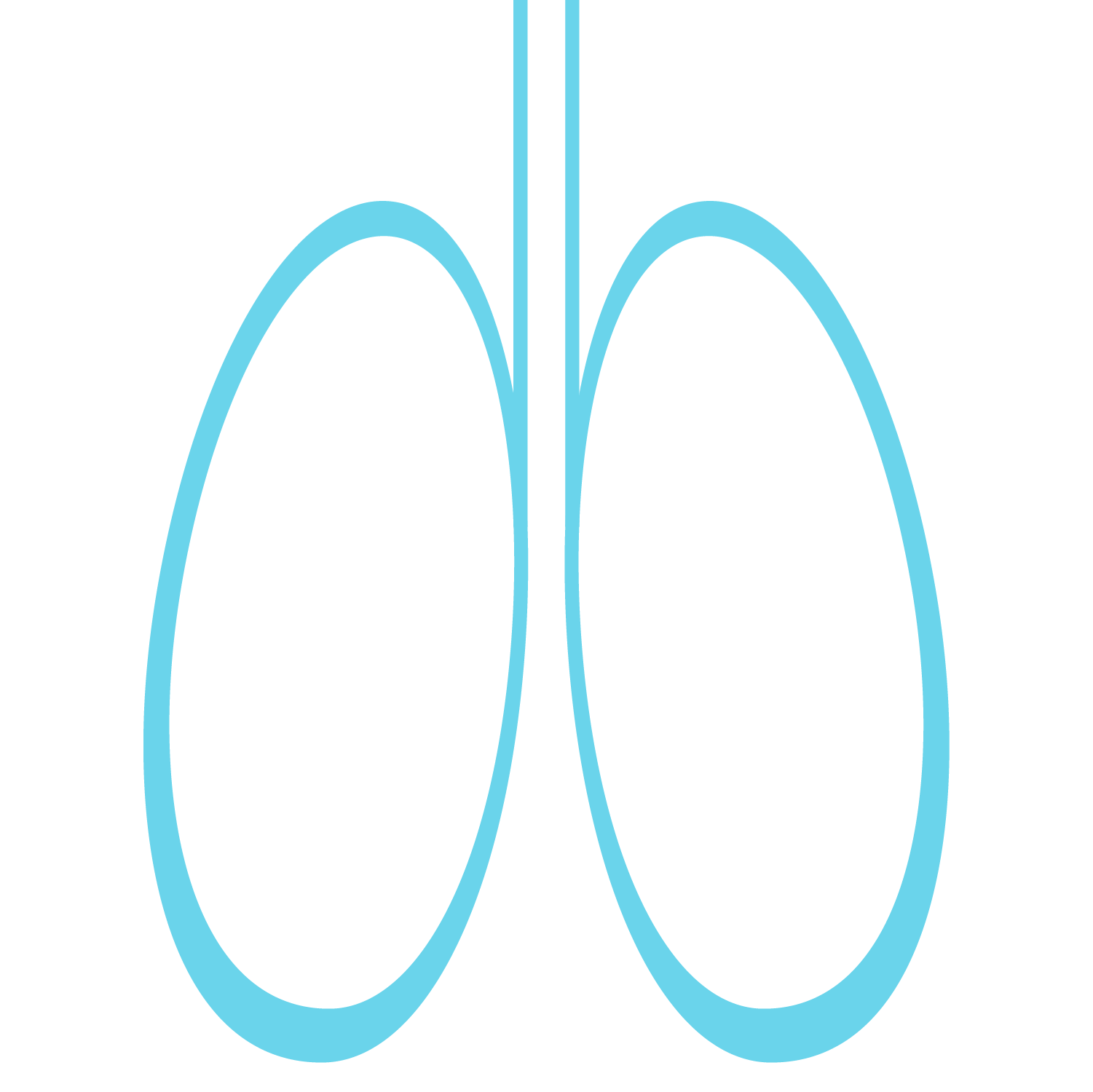 lungs