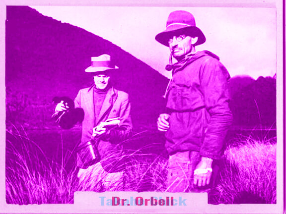 Dr. Orbell